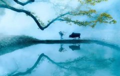 回歸鄉村，方知幸福 【輕鋼別墅】